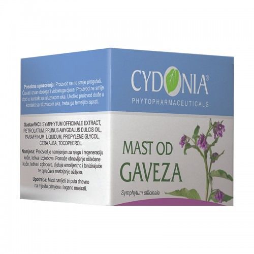Gavez mast 30g Cydonia